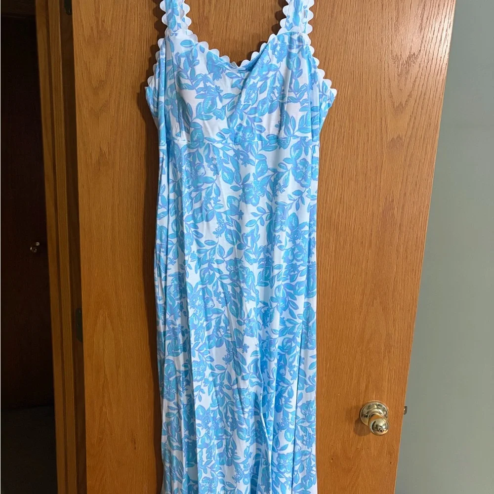 Lilly Pulitzer Blue and White Jacaranda Dress - Picture 1 of 3